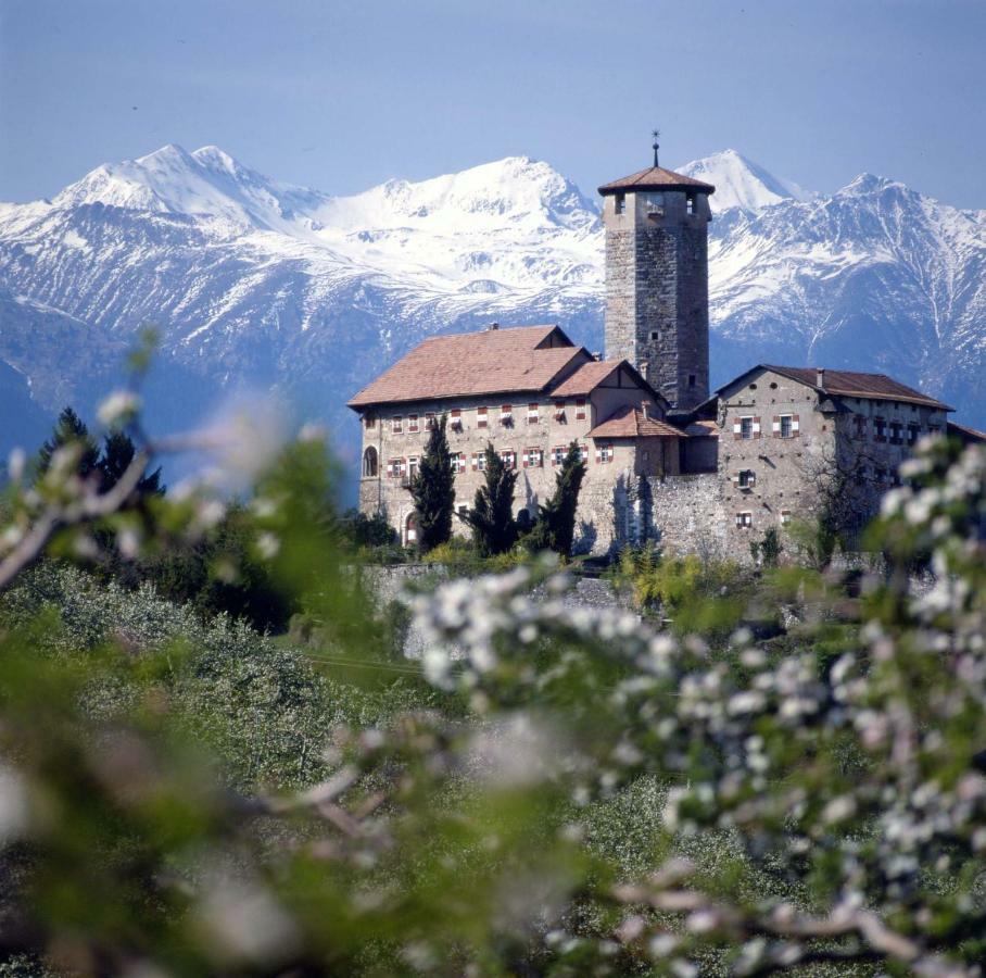 شقة Cinzia Dolomiti Del Brenta Tassullo المظهر الخارجي الصورة